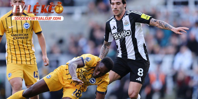 Dự đoán kết quả Brighton & Hove Albion vs Newcastle United | 21:00 ngày 18/10/2025 1 Dự đoán kết quả Brighton & Hove Albion vs Newcastle United soi chiến thuật