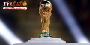 số liệu thống kê giải đấu The FIFA World Cup