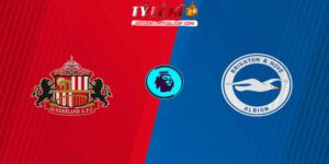 sunderland vs brighton