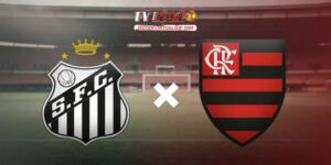 Santos vs Flamengo